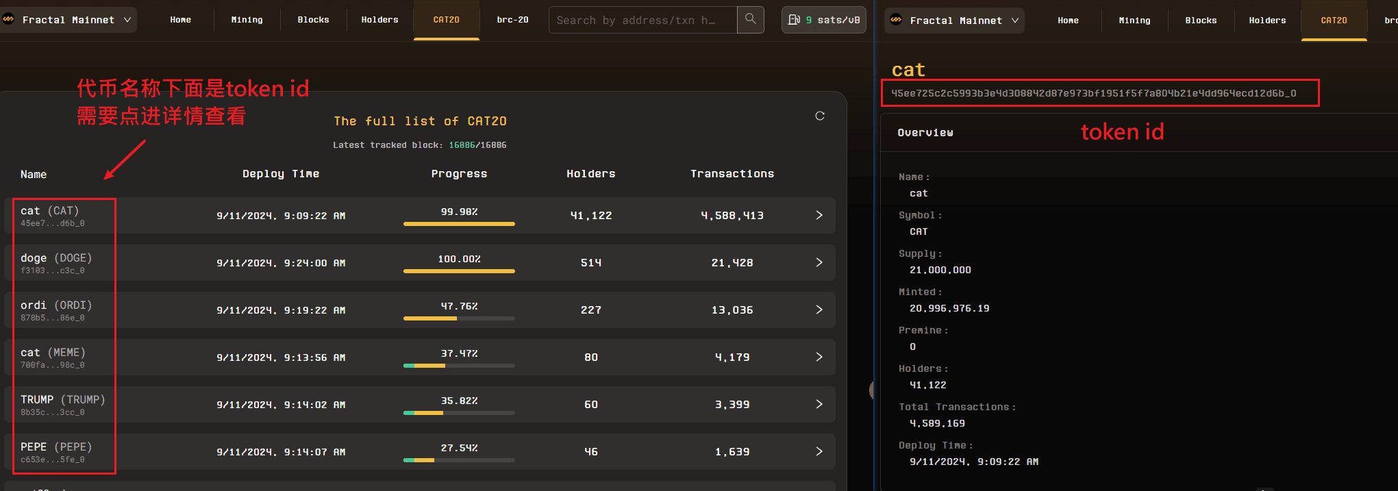 查看token id