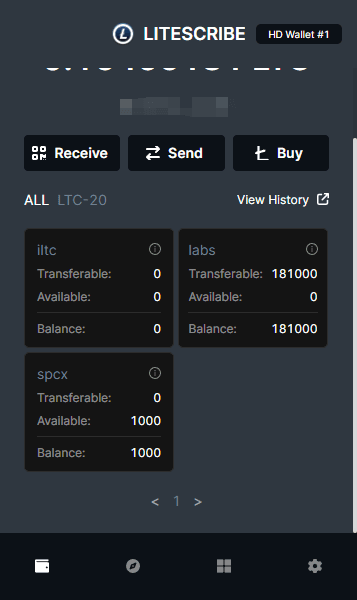 可以清晰看到ltc20资产详情