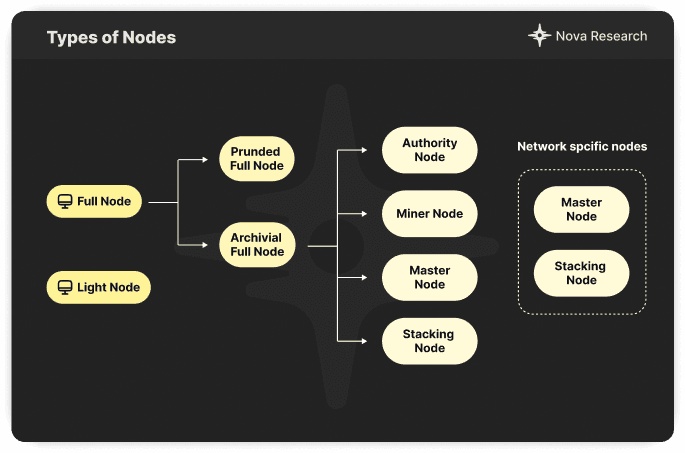 Types of Nodes