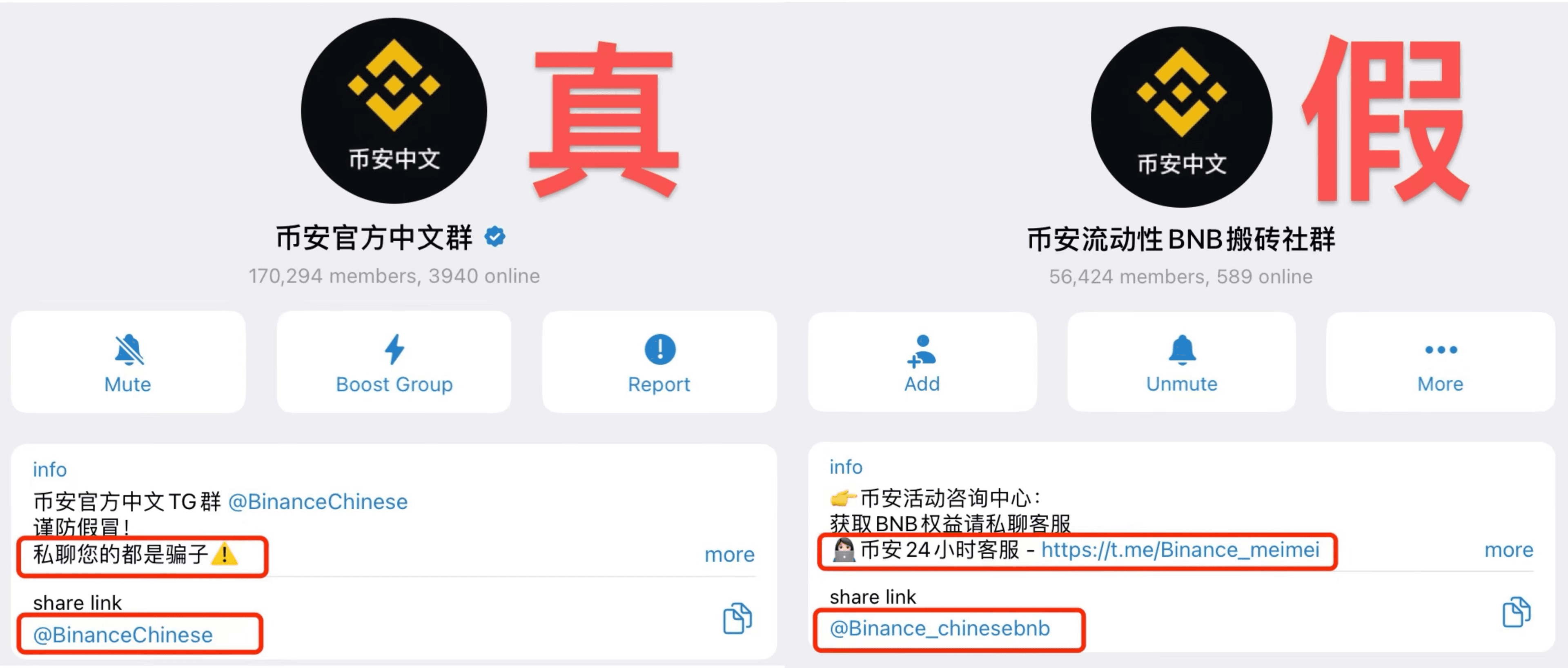 左圖為幣安官方中文社群，右圖為假冒