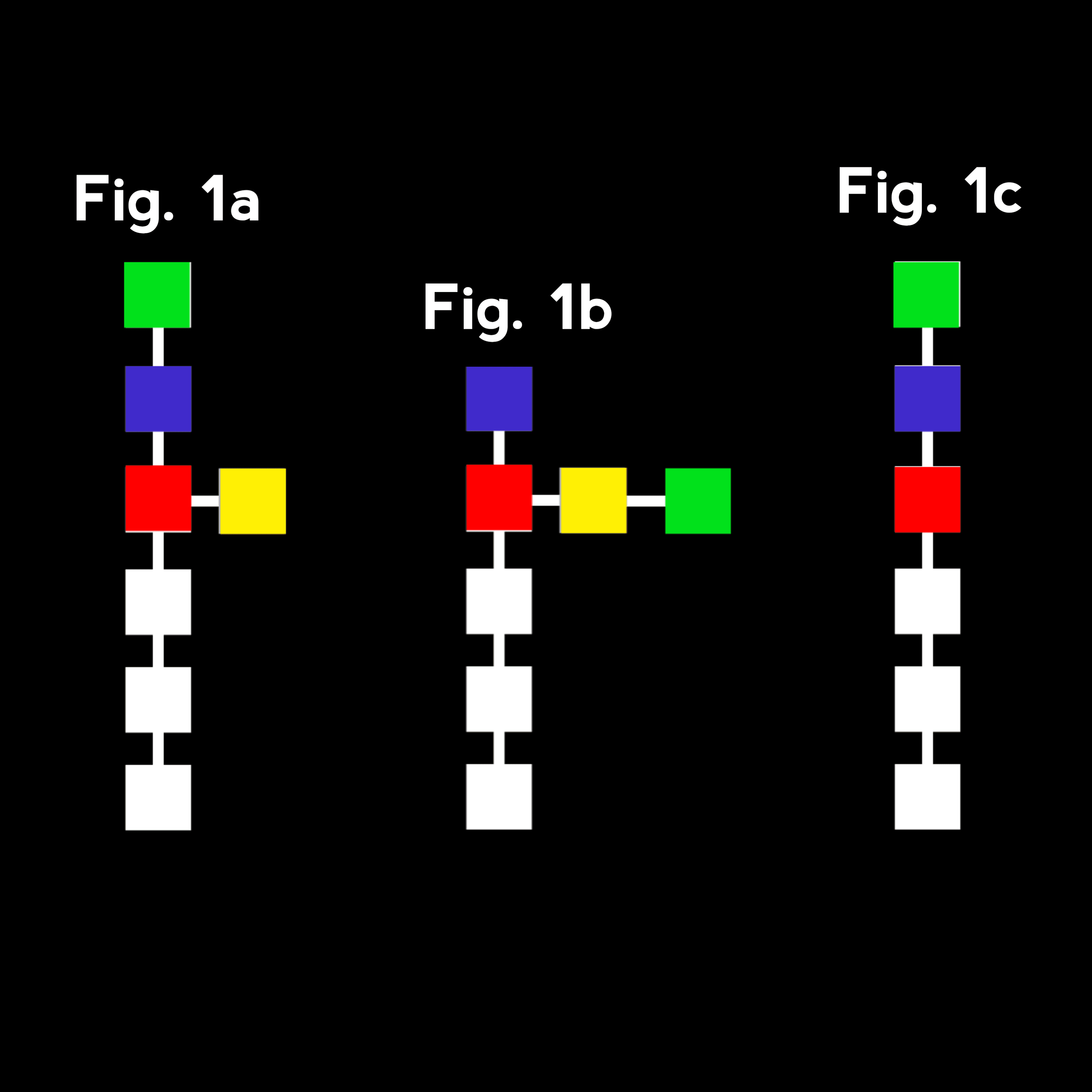 Illustration of chain reorganization.