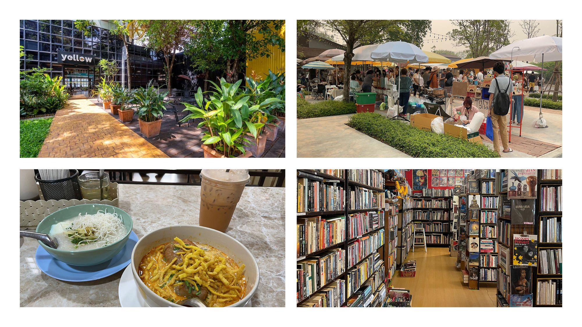 Yellow Co-Working Space | Sunday Market | Khao soi | used book store
