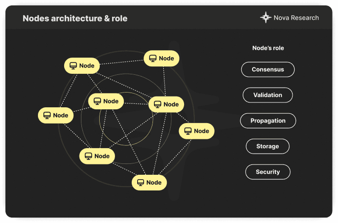 Node architecture & role