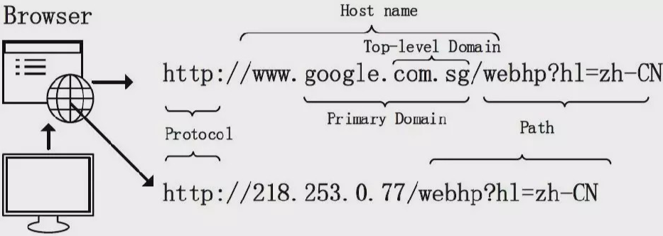 DNS把可以把复杂的，只有电脑能懂的IP地址翻译成人类易记的地址。