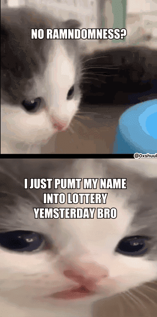 But wait! don't get glum so soon, lottery kitty