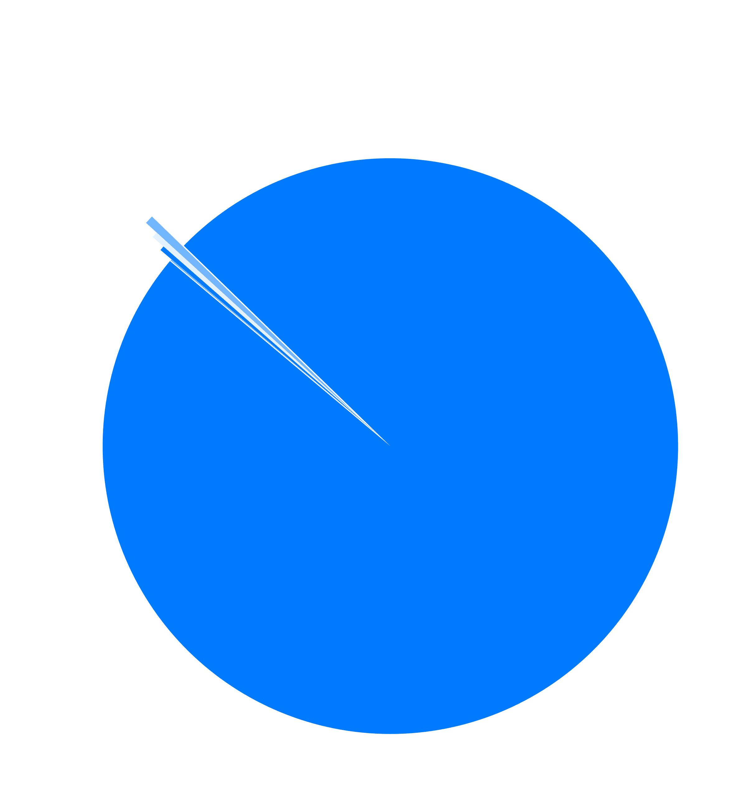 Pie chart comparing the usage of the L2 chains