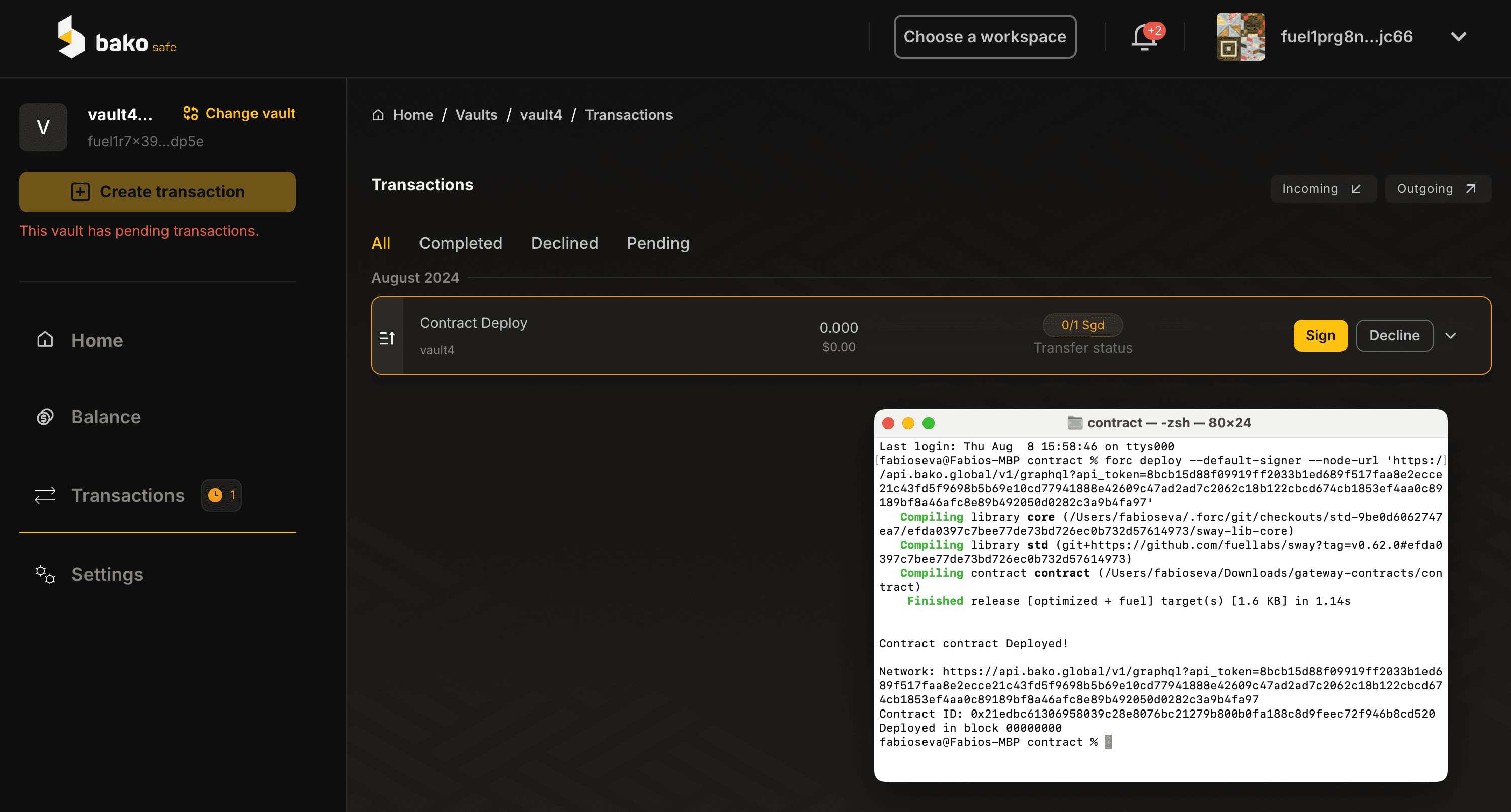 Visualizing contract deployed within the Vault