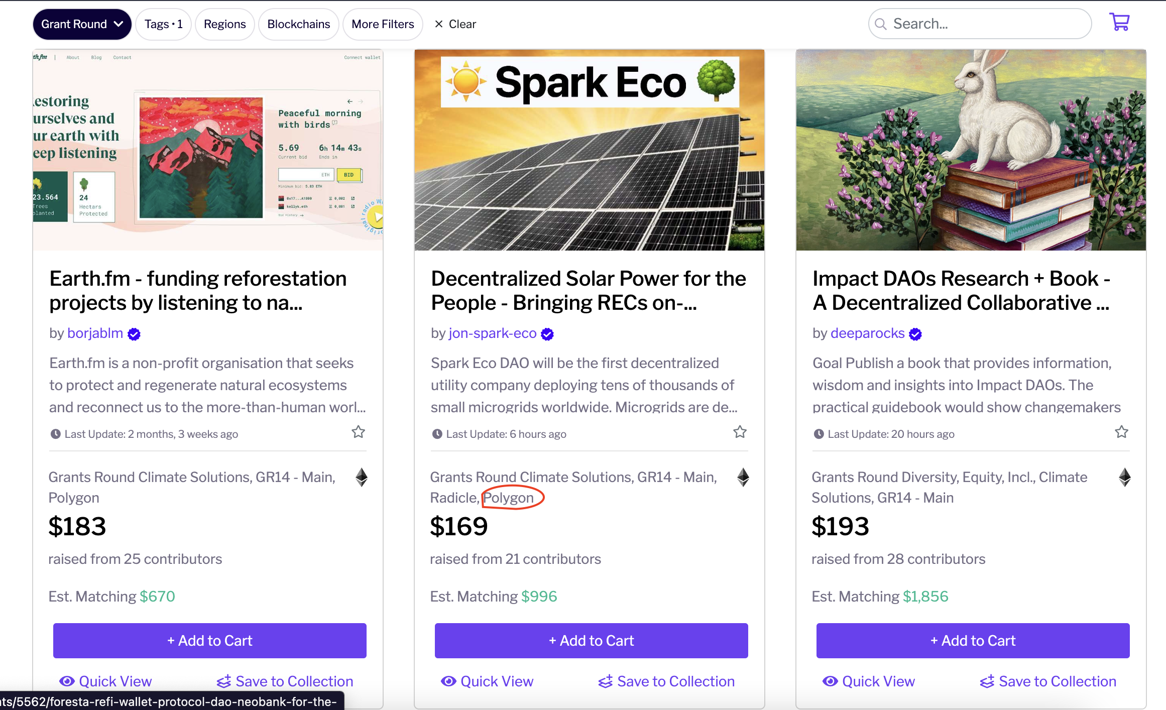 Select a project like Spark Eco, which accepts contributions via Polygon