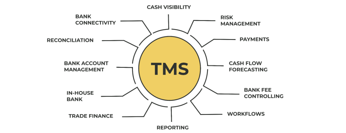 A visualization of a traditional TMS