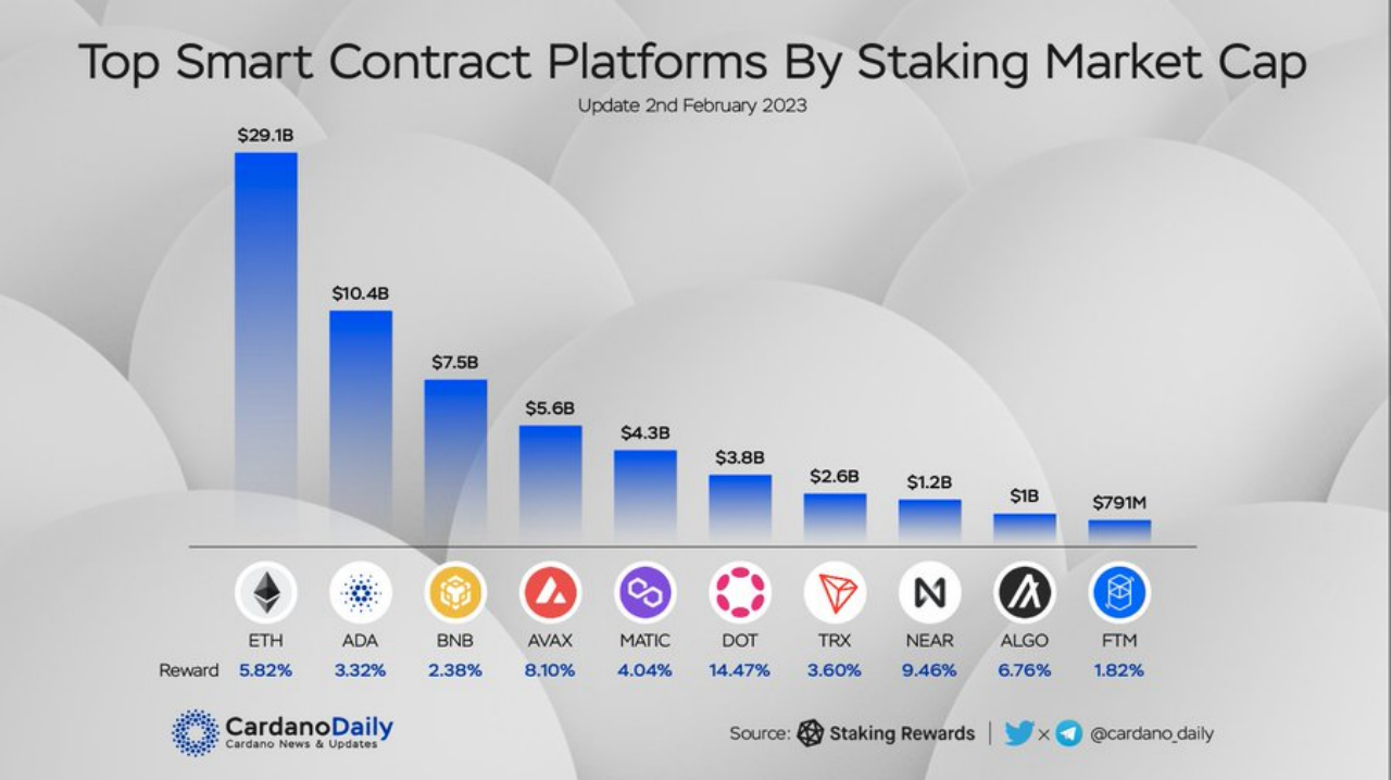 Top ten smart contract platforms by staking market cap. Source: Cardano Daily