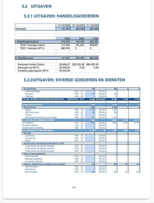 Excerpt from financial plan created by second accountant