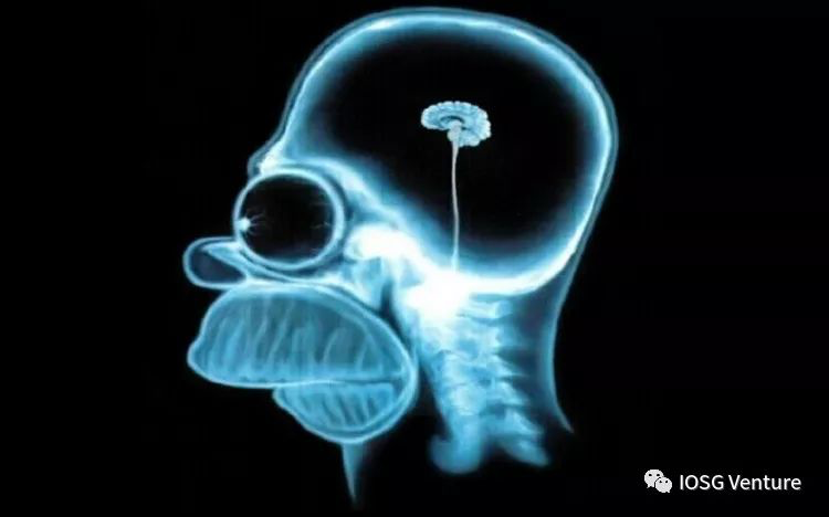Homer’s brain