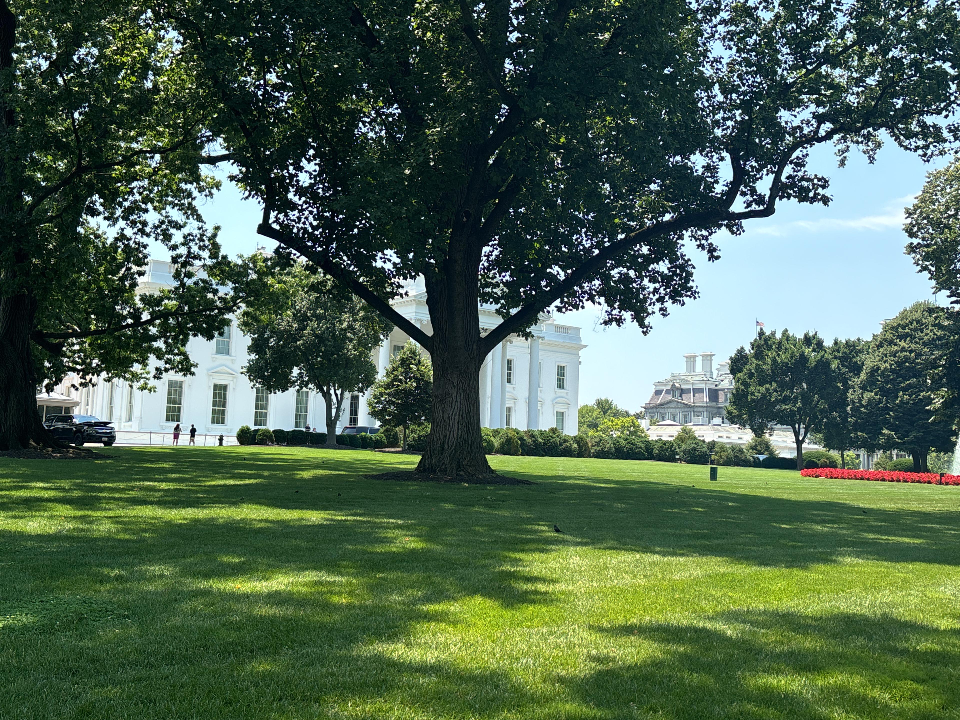 Authentic Photo Shot on Click in Washington, D.C.