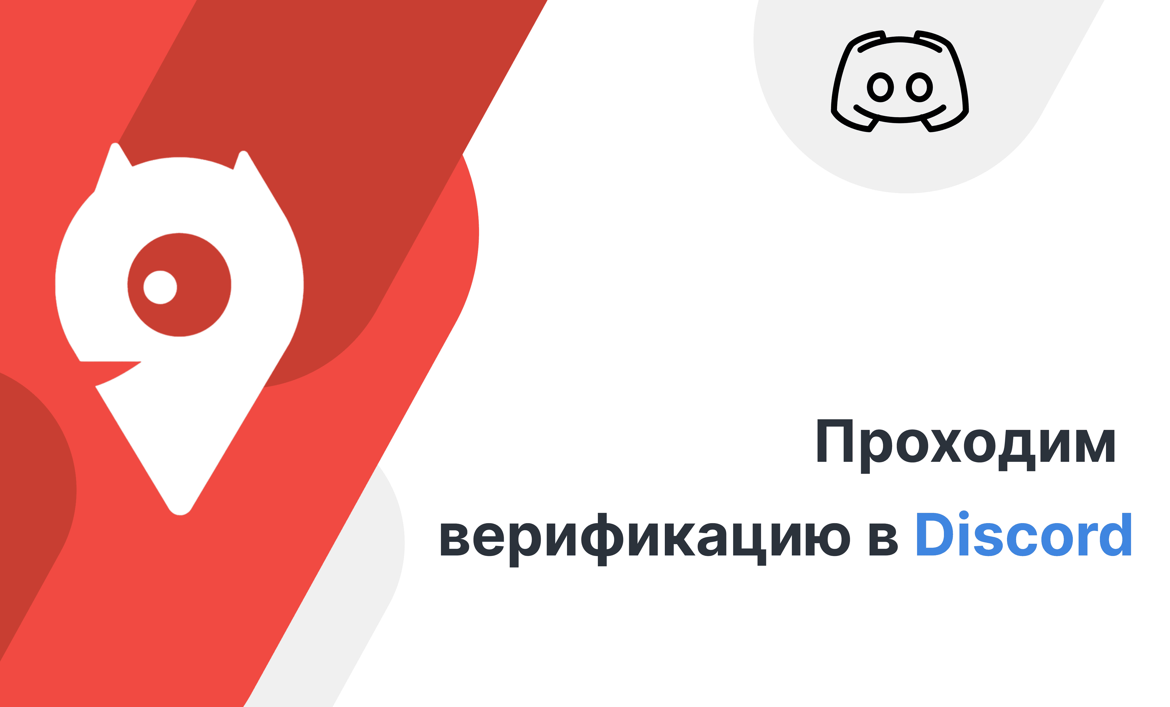 Как проходить верификацию в Discord? — Crypto Davy