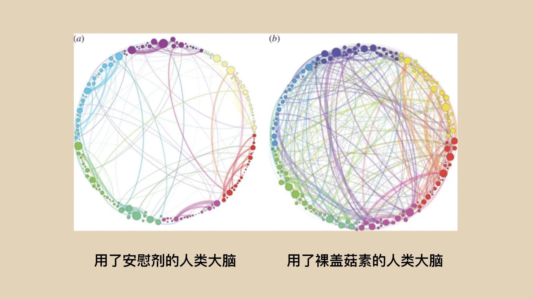 在上面的图片中，不同的颜色代表大脑的不同功能区间。在左边，粗线条表示，大脑相同区间之内有更强的联系。而在右边，代表强联系的粗线条连通了各个不同区间。