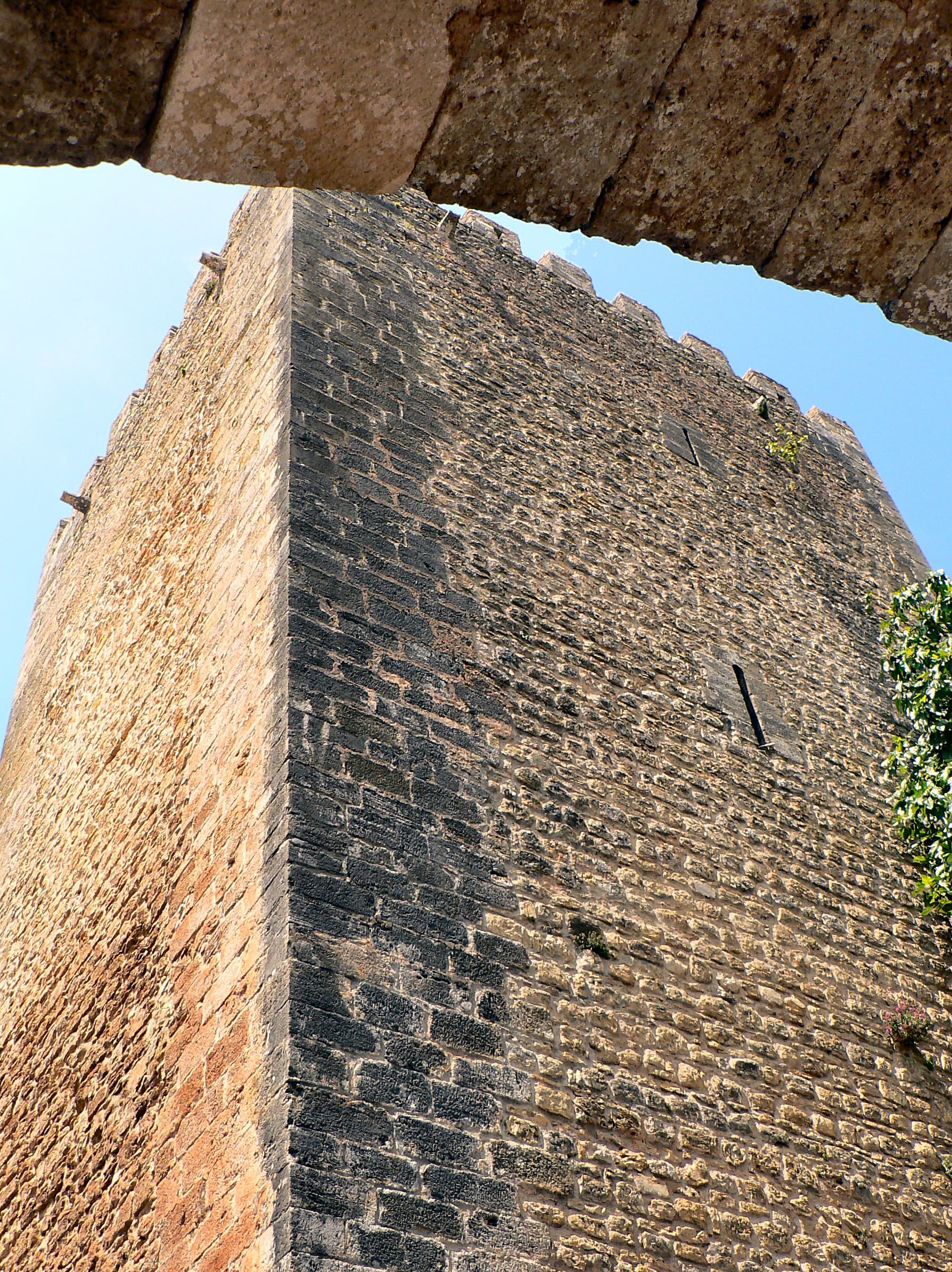 Castle tower