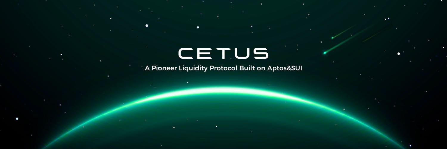 Pioneer DEX and Concentrated Liquidity Protocol built on Sui.