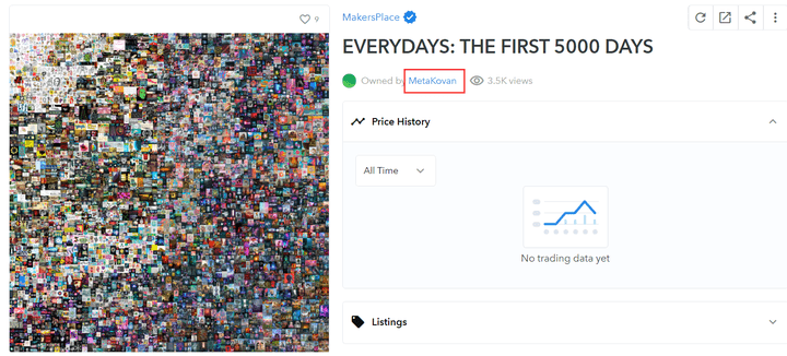 Everydays NFT owner MetaKovan