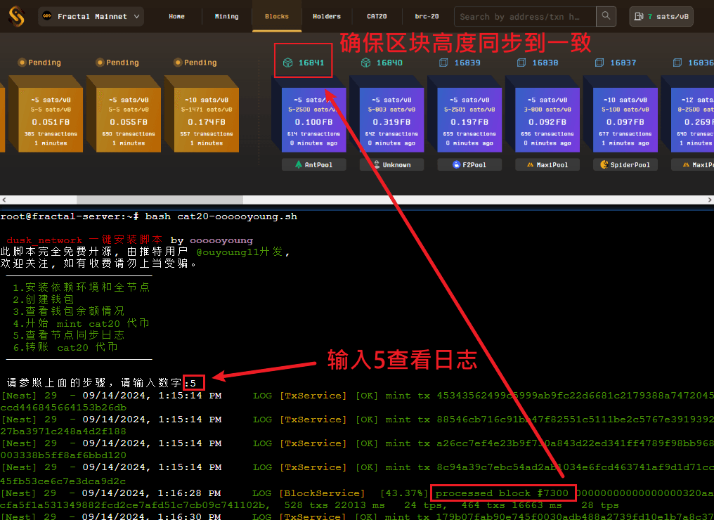 同步节点