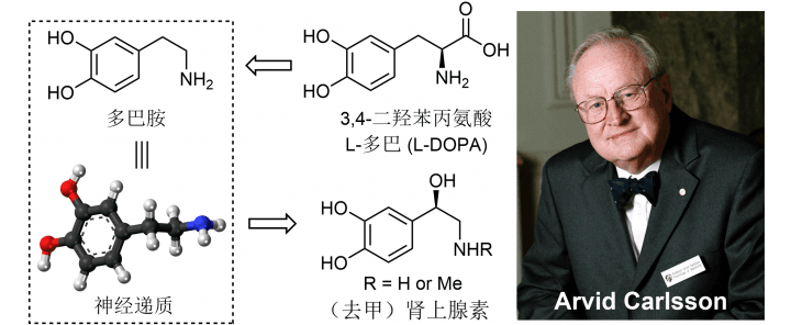 卡尔森及他对多巴胺的研究