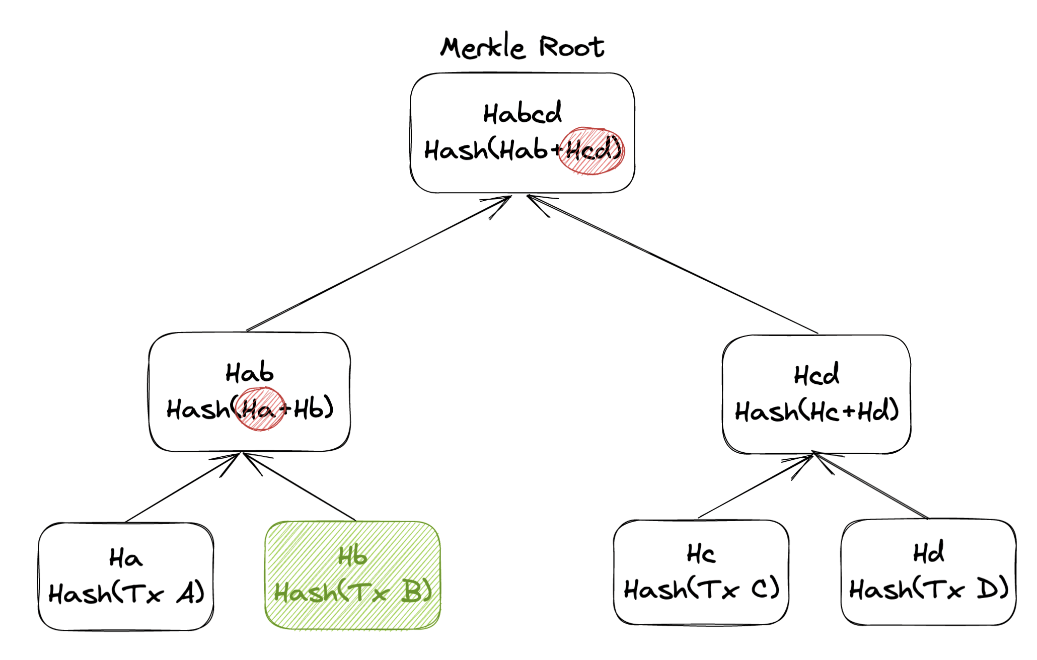 Merkle证明过程