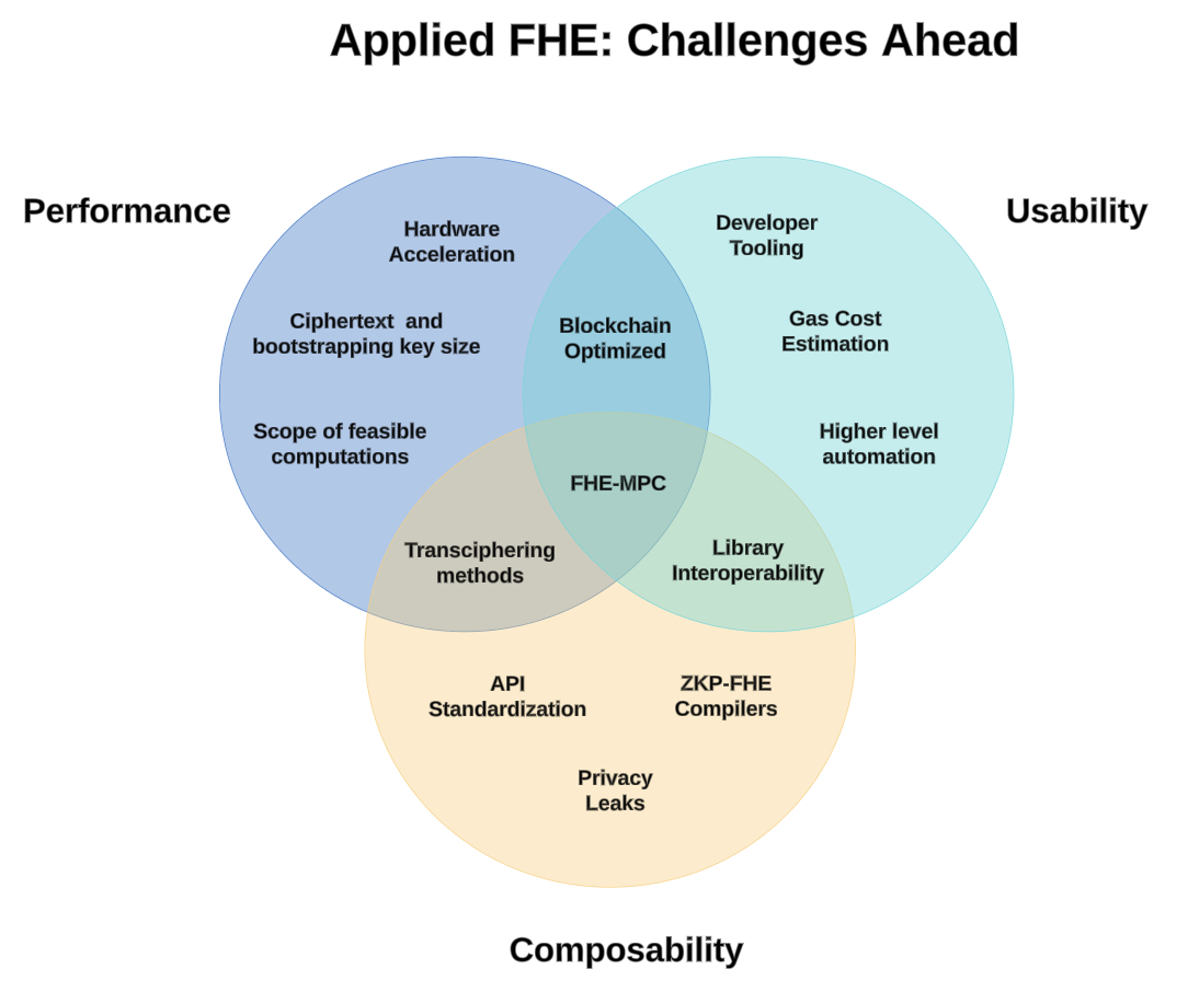 Applied FHE Challenges
