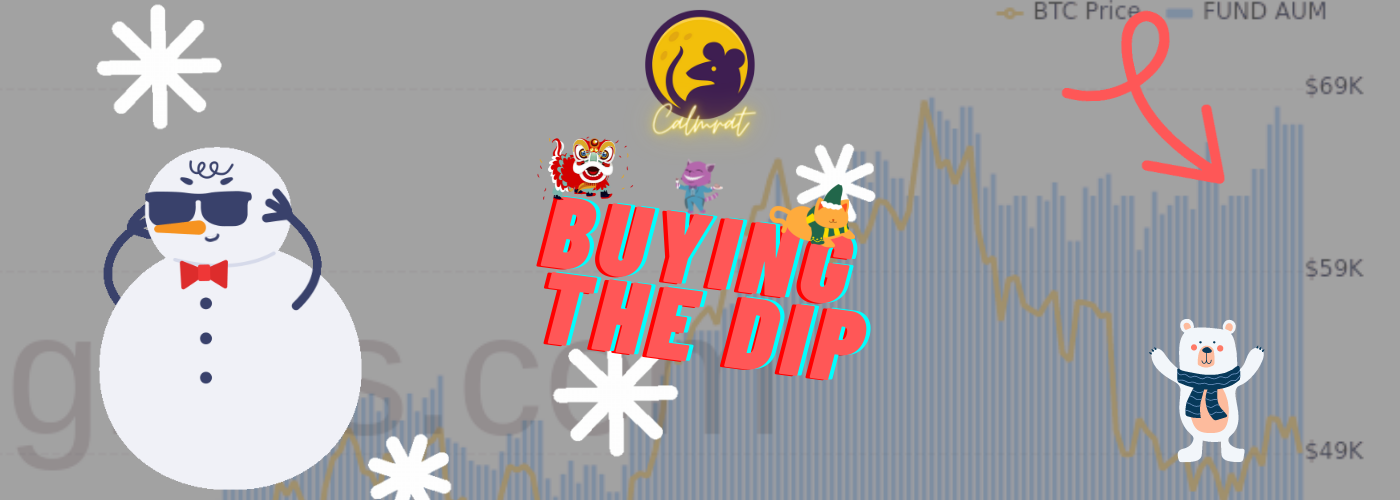 BTC’s winter cool-off, but who’s buying the dip?