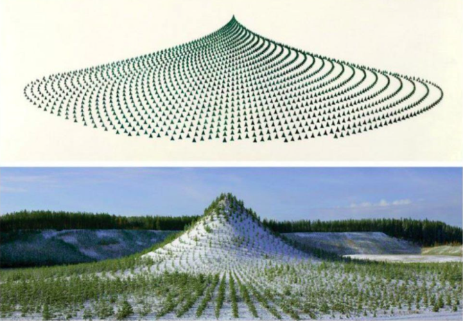 树山 - 一个活的时间胶囊 - 11,000 棵树，11,000 人，400 年 (1992-96) Ylojarvi，芬兰。