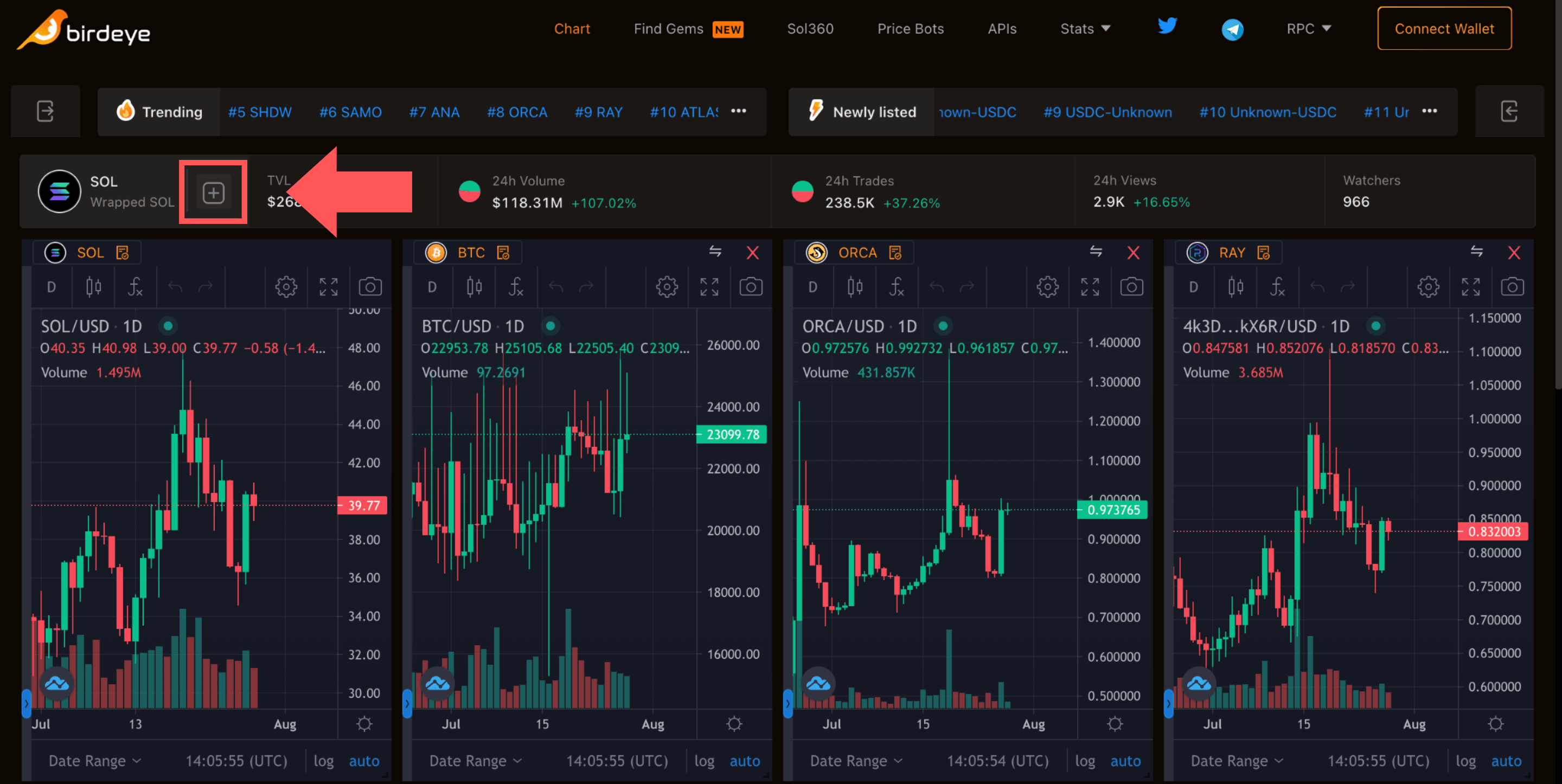 BIRDEYE Solana trade data aggregator Start Guide — yakugakusei