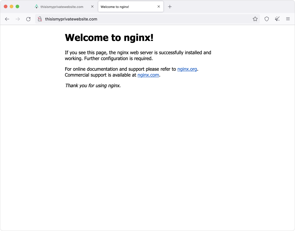 Default NGINX landing page on our private domain