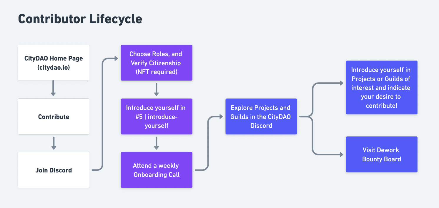 CityDAO's Contributor Lifecycle, as diagrammed by Sobol