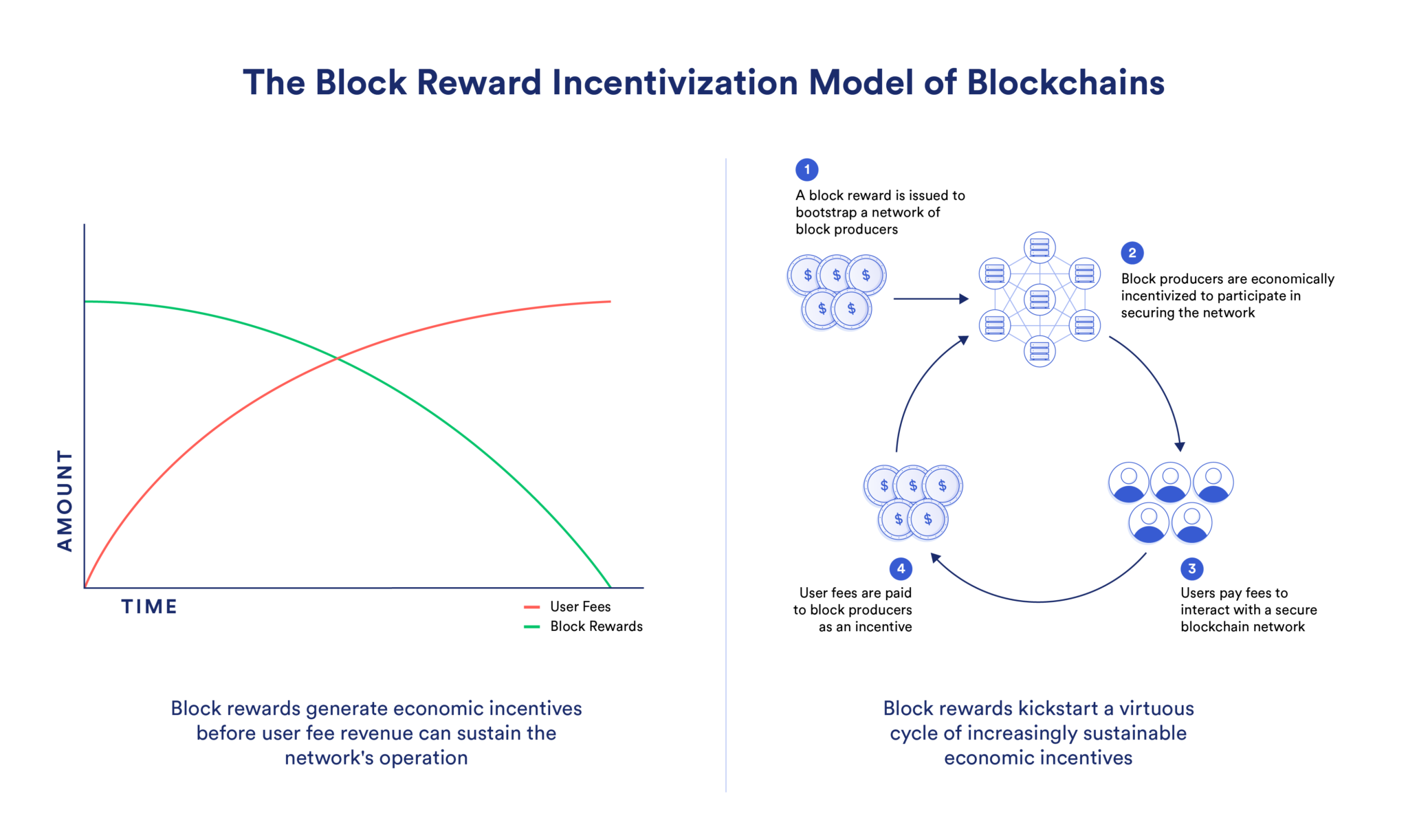 区块链如何使用区块奖励来实现网络经济效益。