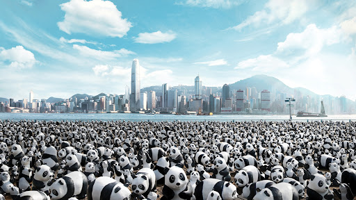Panda City
