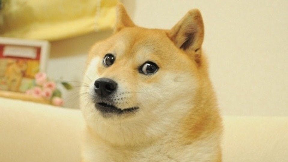 The image of the Shiba Inu behind the popular Dogecoin cryptocurrecy was rendered as an NFT and sold at auction in June 2021… for $4 Million.
