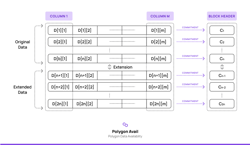Introducing Avail by Polygon — a Robust General-Purpose Scalable Data Availability Layer — Polygon | Blog