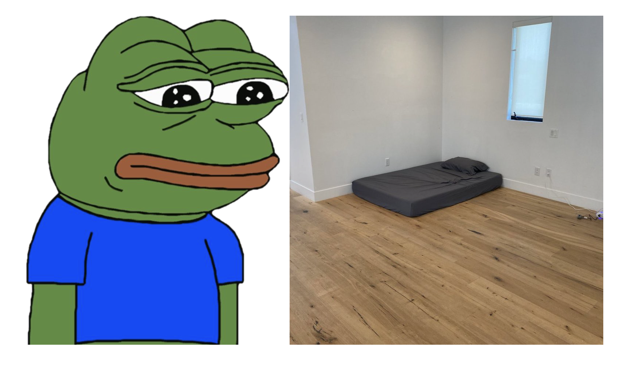 Pepe the frog (left), crypto Mème with a Mattress on the floor (right)