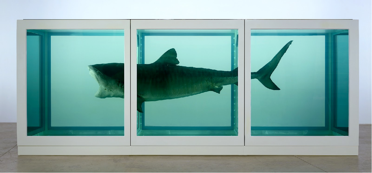 Damien Hirst/The Physical Impossibility of Death in the Mind of Someone