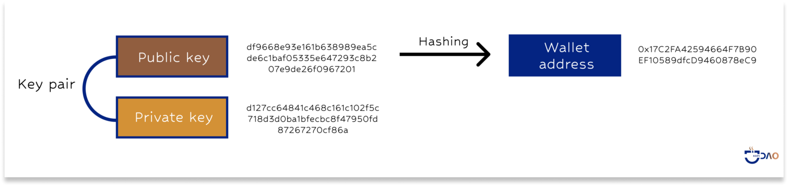 The wallet address is created out of the public key through cryptographic hashing. For most blockchain addresses, a hexadecimal hash algorithm is applied.