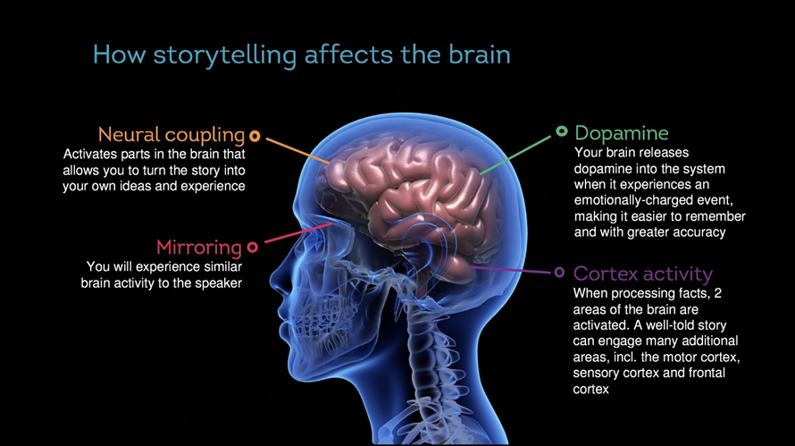 Storytelling in the brain