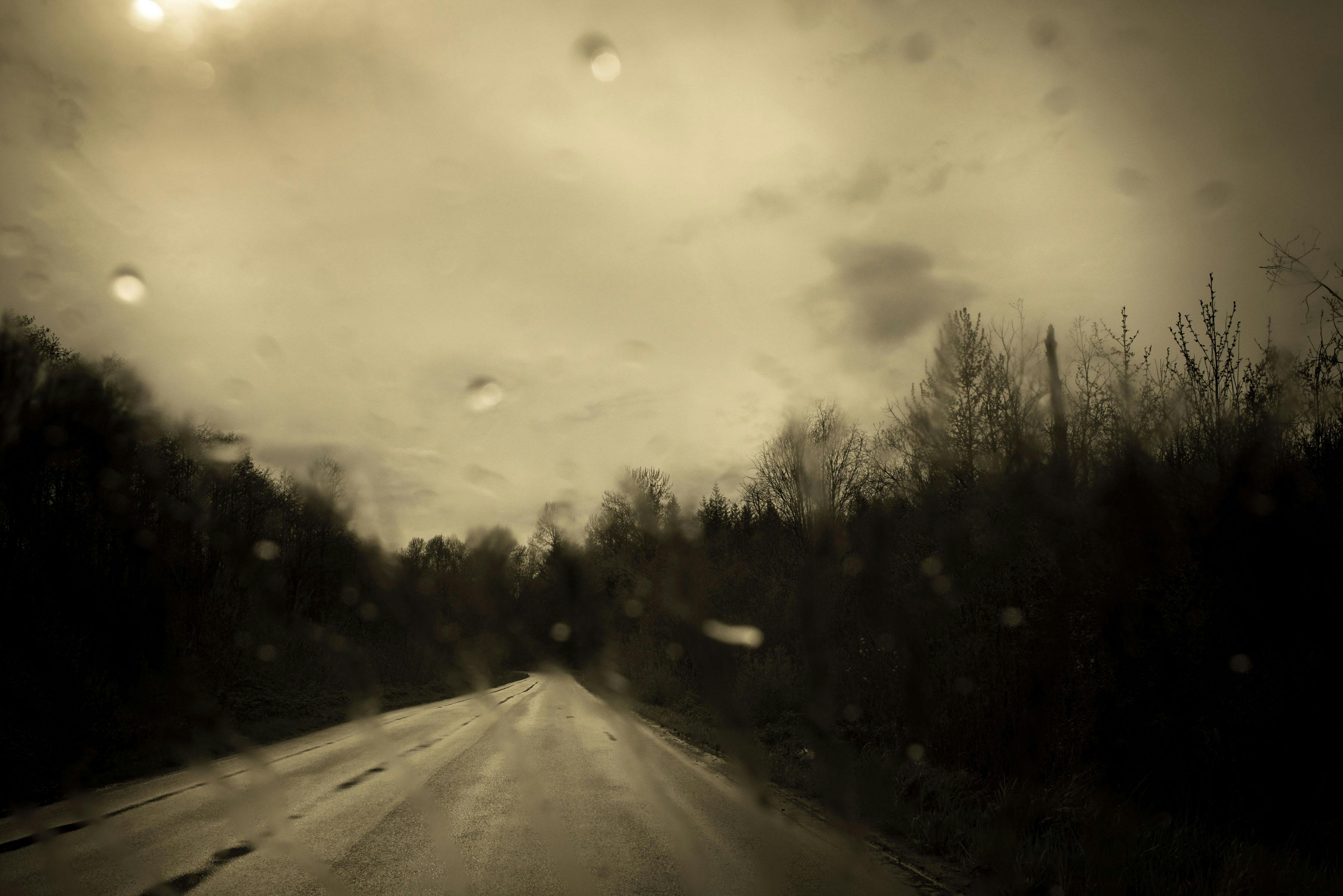 The Black Mechanism #14 by Todd Hido, Obscura Curated Commission.