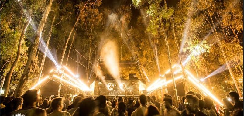 Echoes of Earth: A music festival set in the middle of a forest