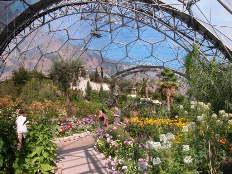 The Eden Project：世界最大の温室には100万種類以上の植物が植えられています。