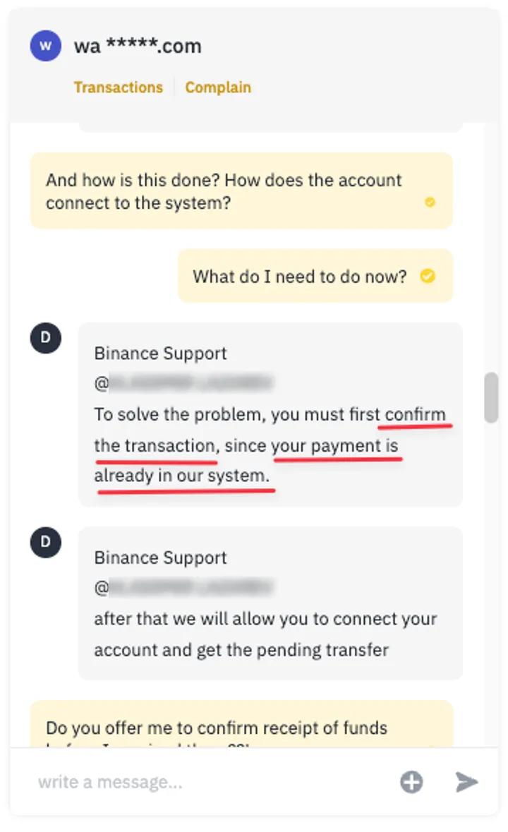 Screenshot 8. Binance. Chat communication between the parties to the transaction
