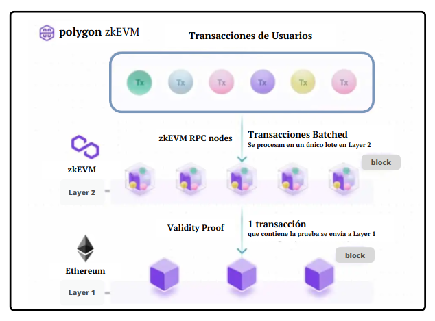 Proceso de transacciones en zkEVM Polygon