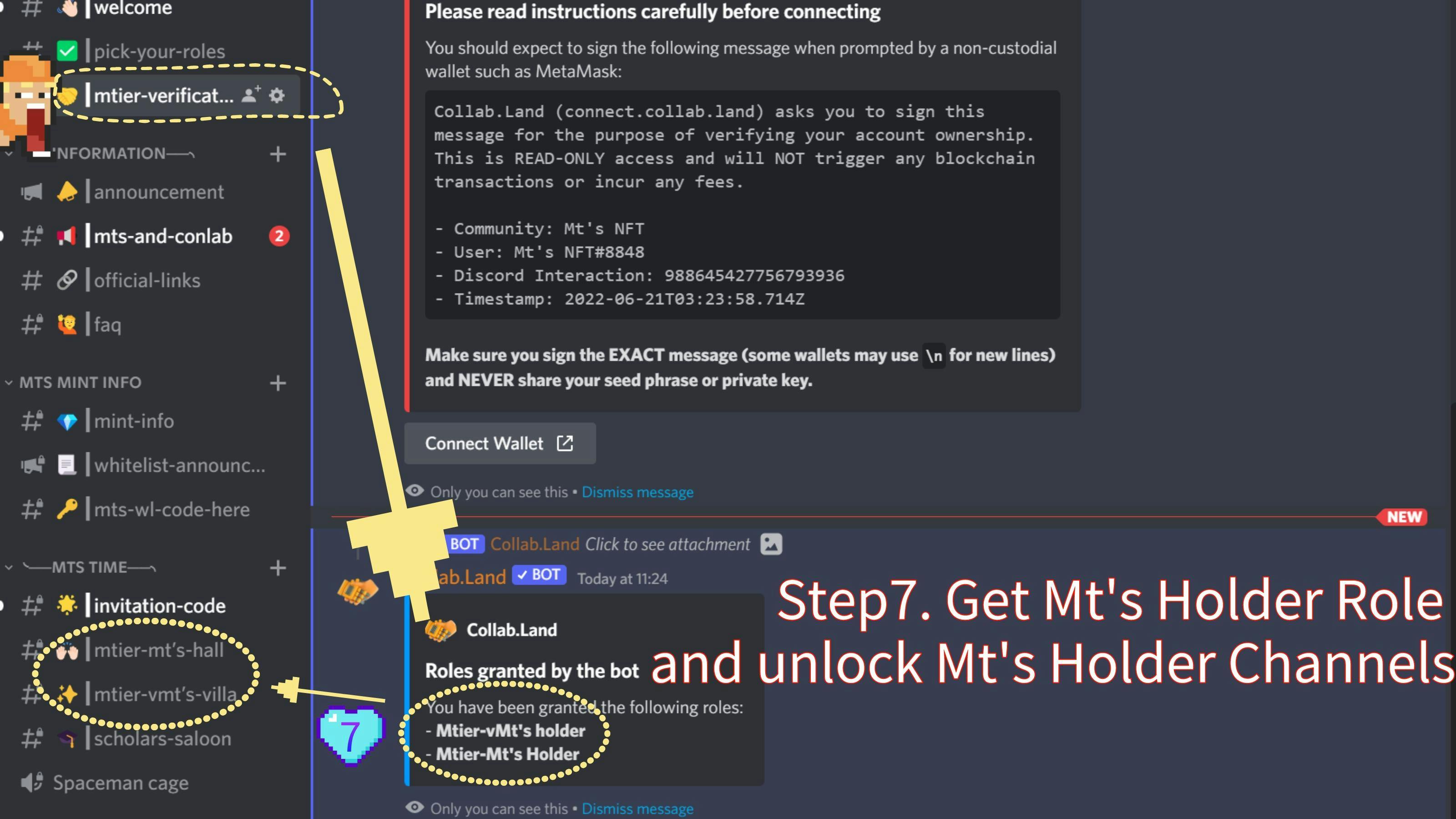 Get Mt’s Role and unlock the holder channel