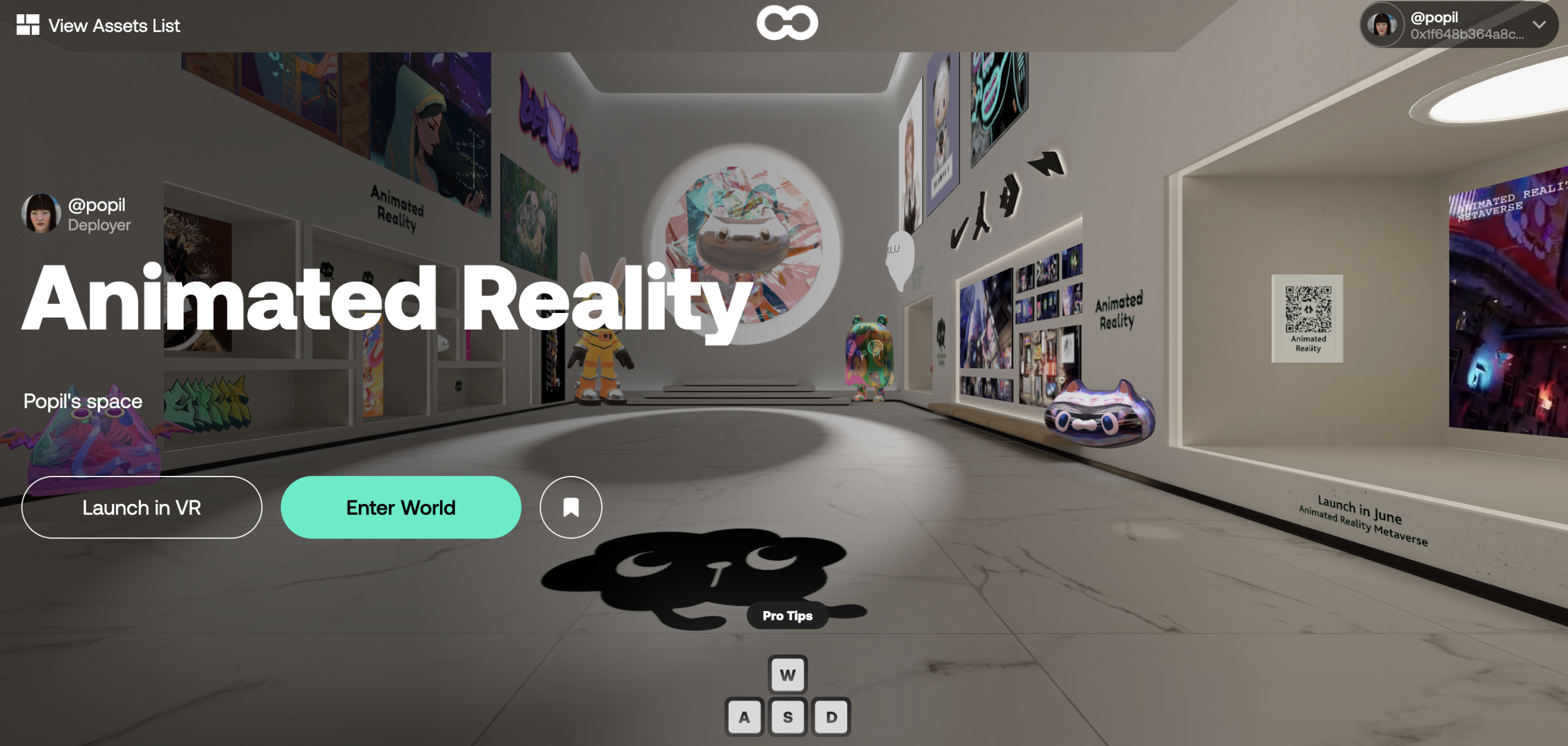 Animated Reality Gallery