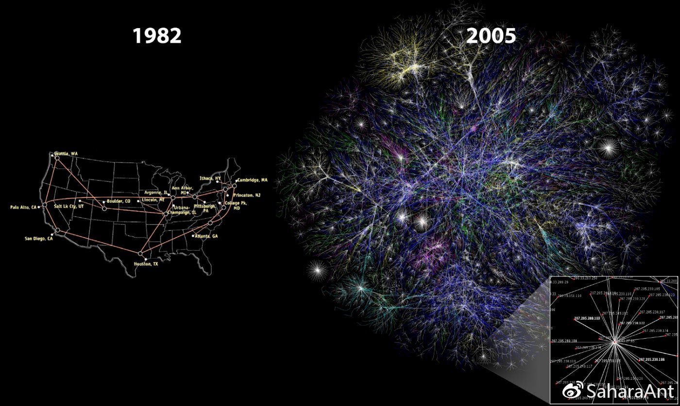 互联网，1982年与2005年。资料来源：cc-by Merit Network，Inc。和Barrett Lyon，Opte