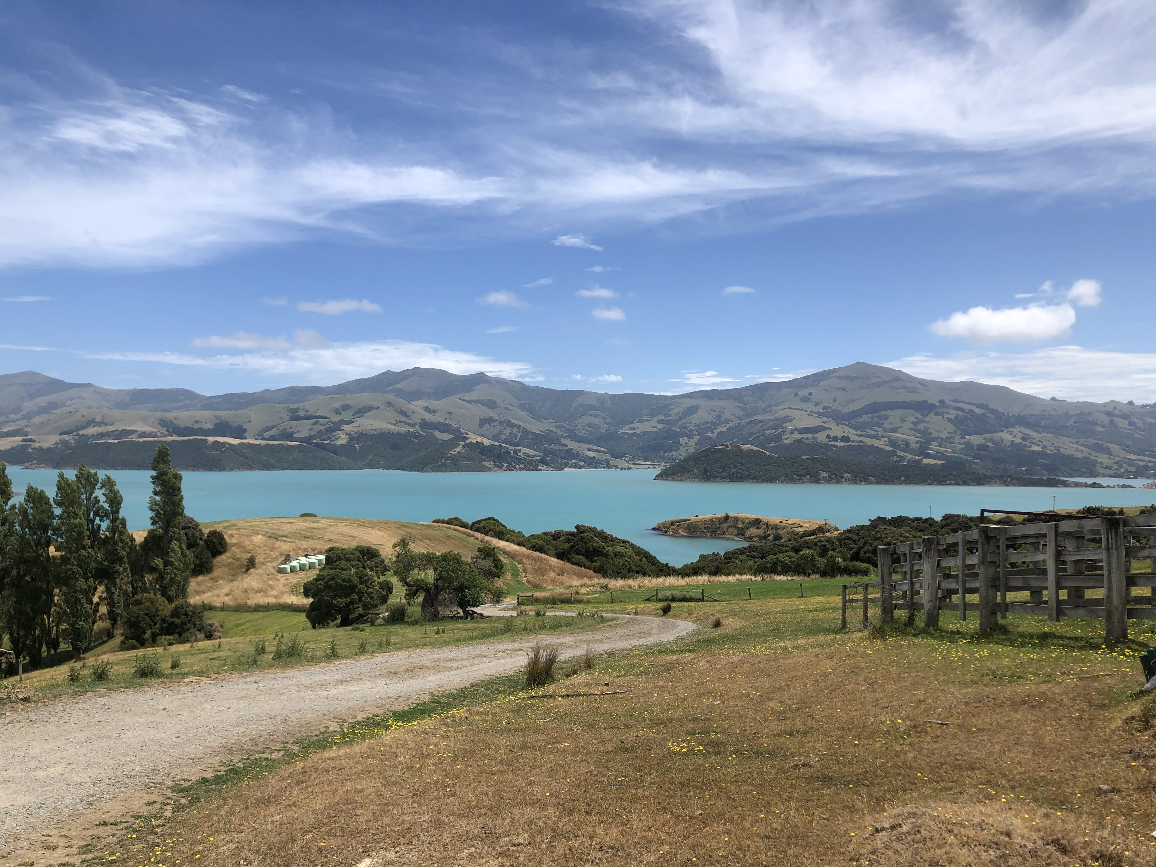 Back fresh into 2023 after a 'Positive-Summer' in NZ's beautiful Christchurch & Akaroa