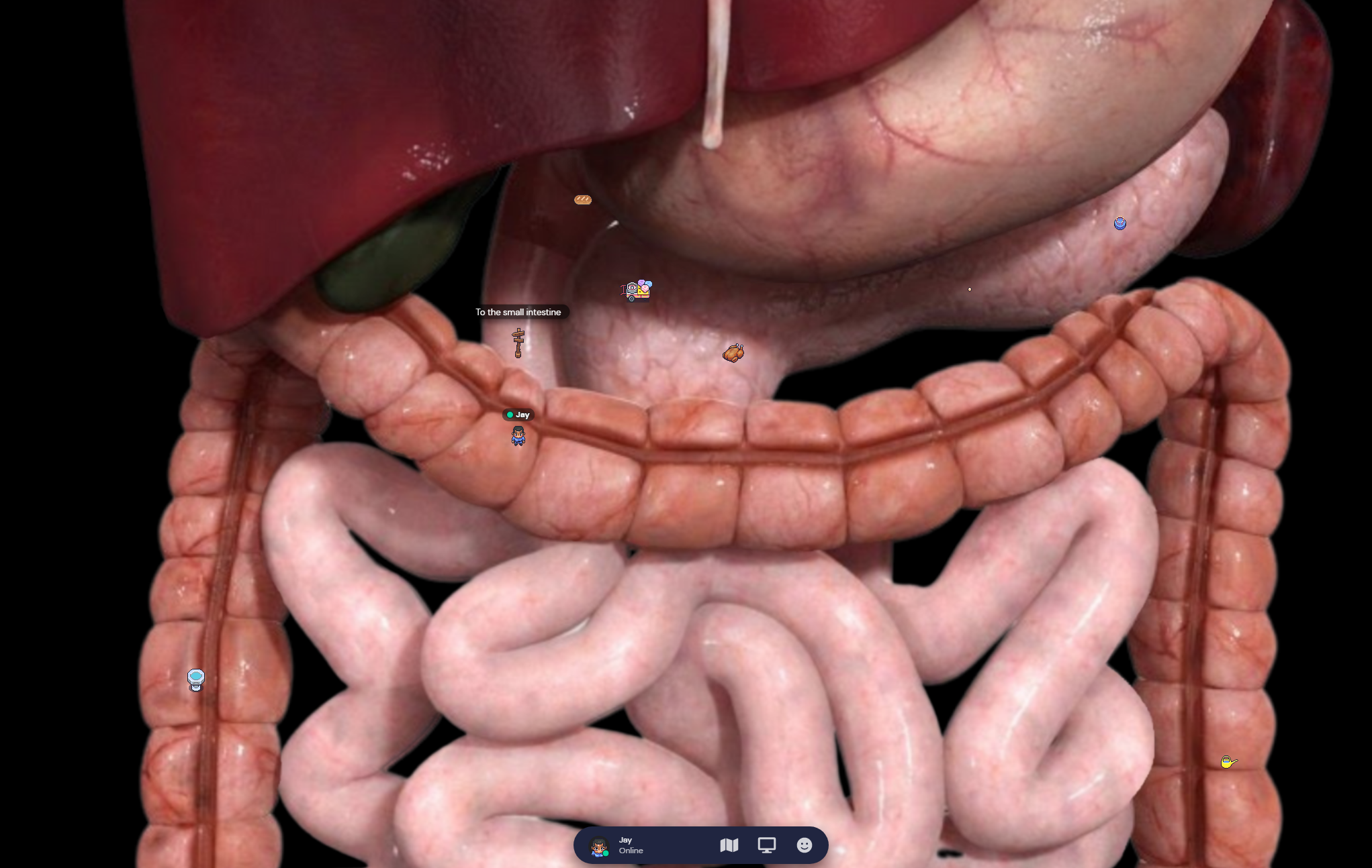 Figure 1: The digestive system map on Gathertown, which features the small intestine maze
