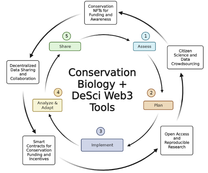 Fig. 1 The Five Steps of the Conservation and DeSci Web3 tools to explore adapted from Brown et al. (2022).